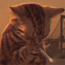 text alternatiu icona